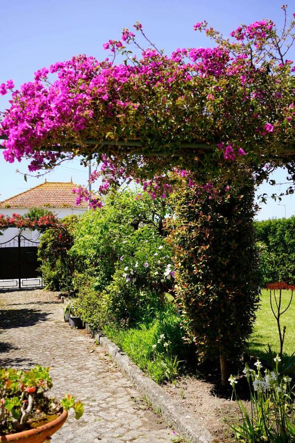 Casa Do Avo Horacio Hotel Viana do Castelo Exterior photo